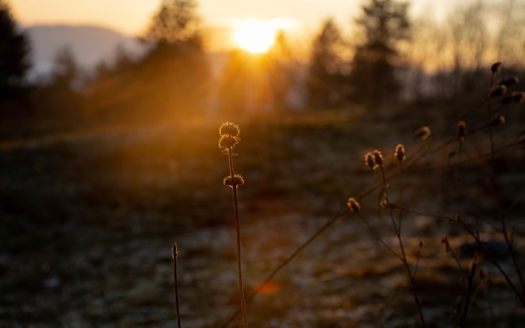 20191126 – Herndleck